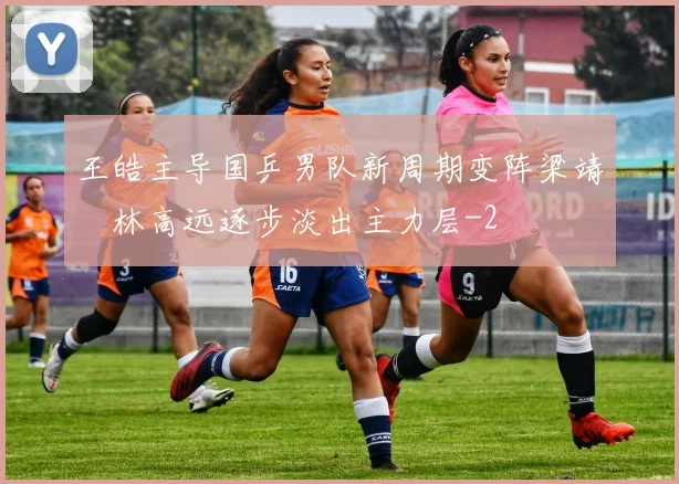 王皓主导国乒男队新周期变阵梁靖崑林高远逐步淡出主力层