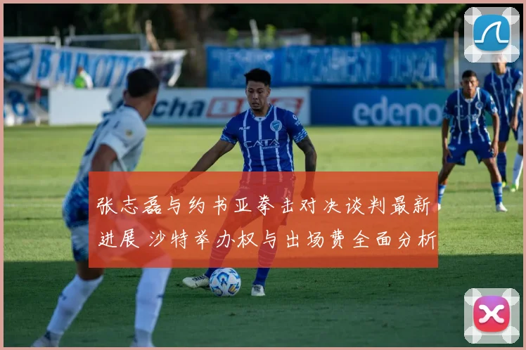 张志磊与约书亚拳击对决谈判最新进展 沙特举办权与出场费全面分析
