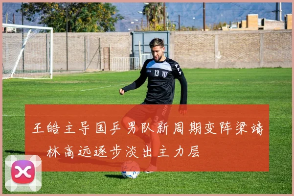 王皓主导国乒男队新周期变阵梁靖崑林高远逐步淡出主力层