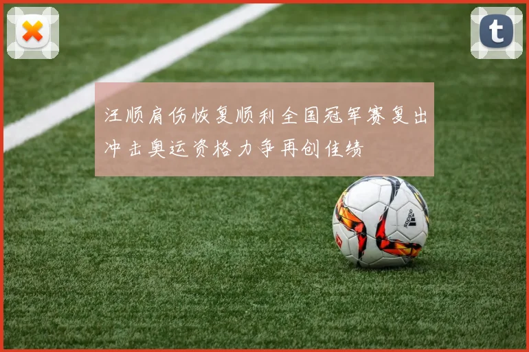 汪顺肩伤恢复顺利全国冠军赛复出冲击奥运资格力争再创佳绩
